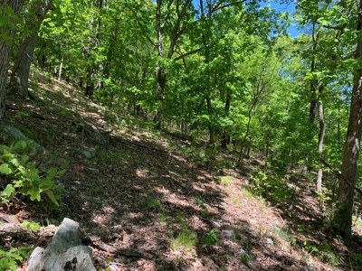 12.+/- Acres Waterfront Property Lake of the Ozarks 55MM - image 29