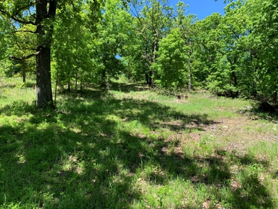 12.+/- Acres Waterfront Property Lake of the Ozarks 55MM - image 10