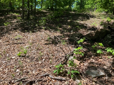 12.+/- Acres Waterfront Property Lake of the Ozarks 55MM - image 26