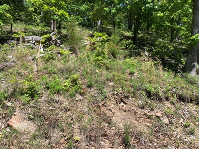 12.+/- Acres Waterfront Property Lake of the Ozarks 55MM - image 23