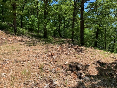 12.+/- Acres Waterfront Property Lake of the Ozarks 55MM - image 13