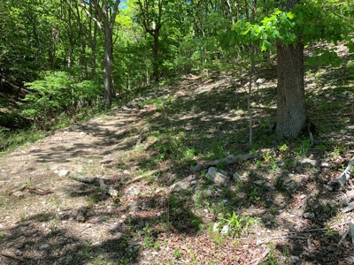 12.+/- Acres Waterfront Property Lake of the Ozarks 55MM - image 19