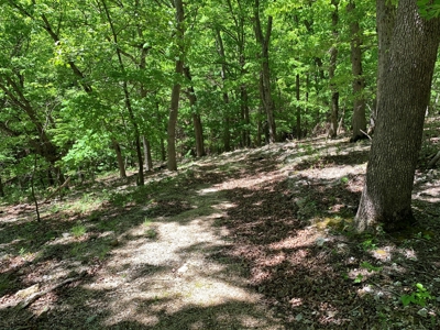 12.+/- Acres Waterfront Property Lake of the Ozarks 55MM - image 16