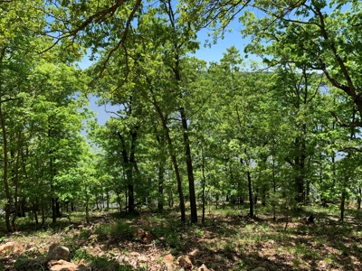 12.+/- Acres Waterfront Property Lake of the Ozarks 55MM - image 14