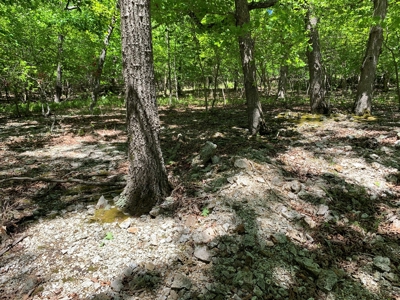 12.+/- Acres Waterfront Property Lake of the Ozarks 55MM - image 32