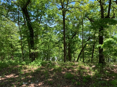 12.+/- Acres Waterfront Property Lake of the Ozarks 55MM - image 9
