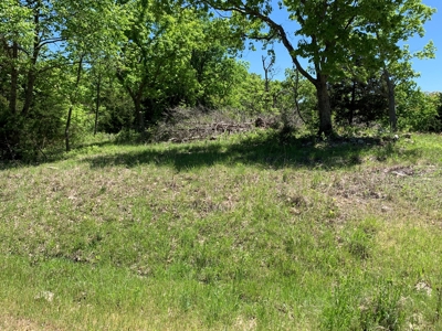 12.+/- Acres Waterfront Property Lake of the Ozarks 55MM - image 4