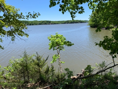 12.+/- Acres Waterfront Property Lake of the Ozarks 55MM - image 31
