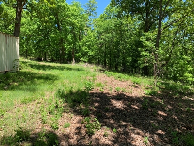 12.+/- Acres Waterfront Property Lake of the Ozarks 55MM - image 8