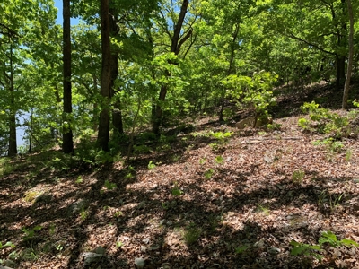 12.+/- Acres Waterfront Property Lake of the Ozarks 55MM - image 27