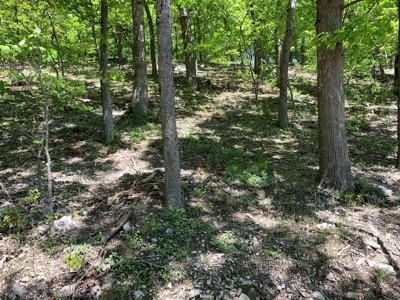 12.+/- Acres Waterfront Property Lake of the Ozarks 55MM - image 18