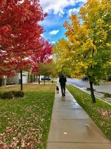 Luxury Home With License Nightly Rental Kalispell Mt - image 10