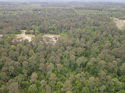 Timberland for sale in Columbia County Arkansas - image 28