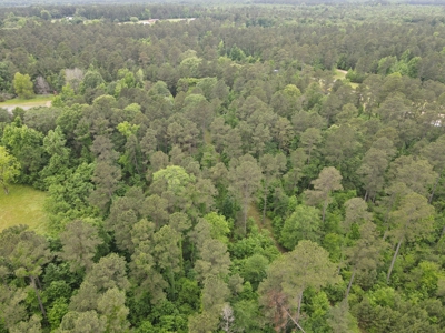 Timberland for sale in Columbia County Arkansas - image 26