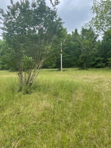 Timberland for sale in Columbia County Arkansas - image 23
