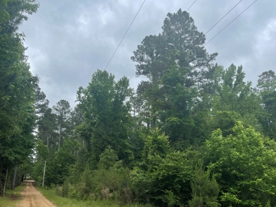 Timberland for sale in Columbia County Arkansas - image 18