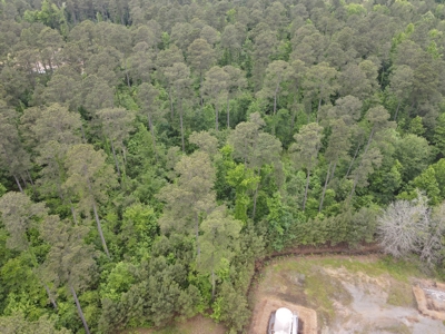Timberland for sale in Columbia County Arkansas - image 36