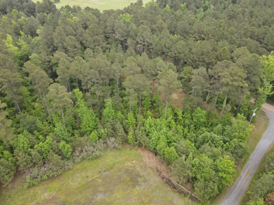 Timberland for sale in Columbia County Arkansas - image 35