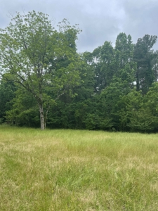 Timberland for sale in Columbia County Arkansas - image 24
