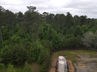 Timberland for sale in Columbia County Arkansas - image 38