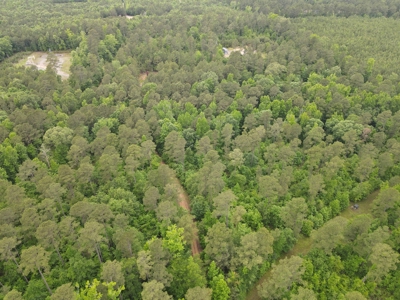 Timberland for sale in Columbia County Arkansas - image 33