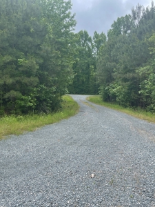 Timberland for sale in Columbia County Arkansas - image 3
