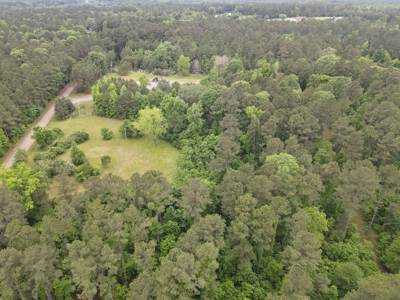 Timberland for sale in Columbia County Arkansas - image 27