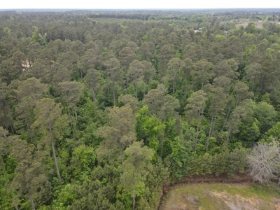 Timberland for sale in Columbia County Arkansas - image 37