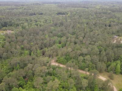 Timberland for sale in Columbia County Arkansas - image 1