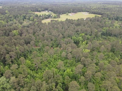 Timberland for sale in Columbia County Arkansas - image 30
