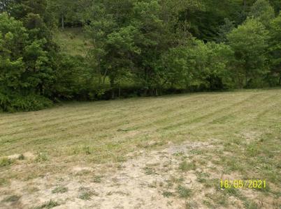 25 Acre Farm With Tiny House For Sale in East Tennessee - image 20