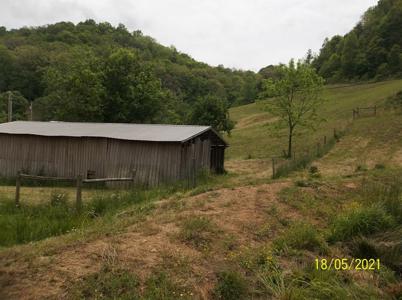 25 Acre Farm With Tiny House For Sale in East Tennessee - image 28