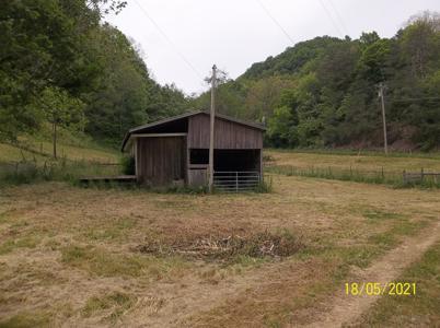 25 Acre Farm With Tiny House For Sale in East Tennessee - image 24