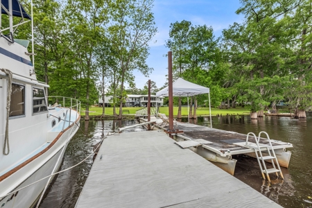 Check Out This Beauty On The World Famous Suwannee River! - image 2