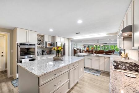 Check Out This Beauty On The World Famous Suwannee River! - image 3