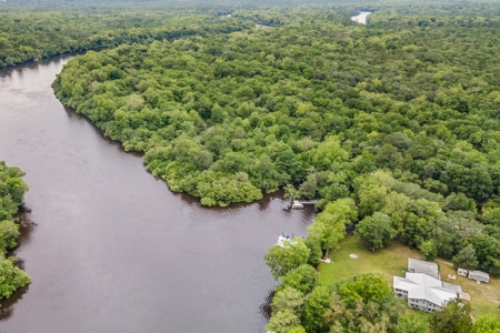Check Out This Beauty On The World Famous Suwannee River! - image 45