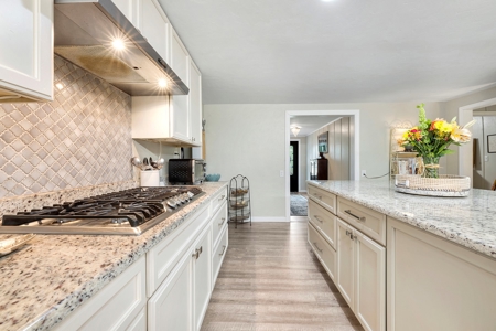 Check Out This Beauty On The World Famous Suwannee River! - image 6