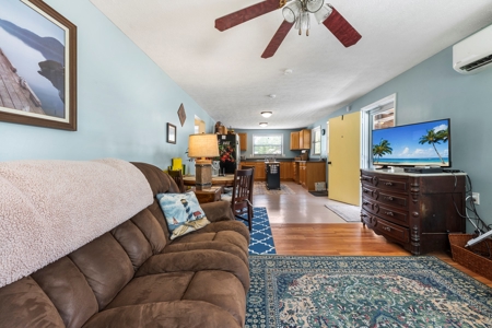 Check Out This Beauty On The World Famous Suwannee River! - image 47