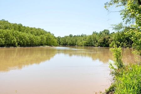 850 Acres Waterfront Hunting Land for Sale, Port Gibson, MS - image 6
