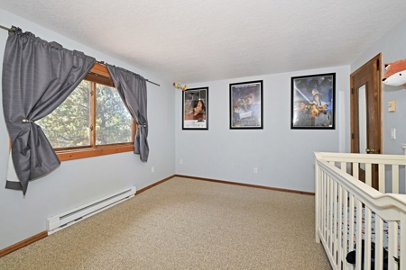 Central Colorado Mountain Home - image 33