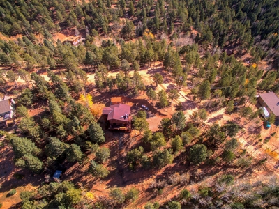 Central Colorado Mountain Home - image 48