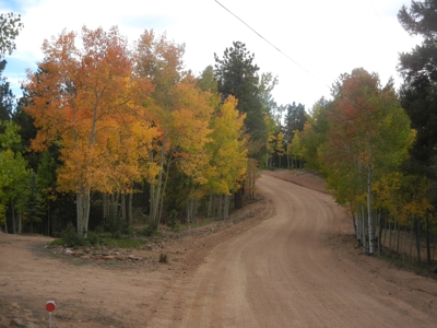 Central Colorado Mountain Home - image 43