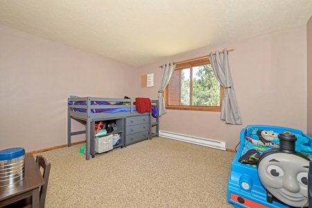Central Colorado Mountain Home - image 31