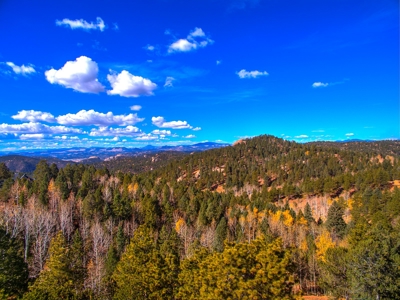 Central Colorado Mountain Home - image 45