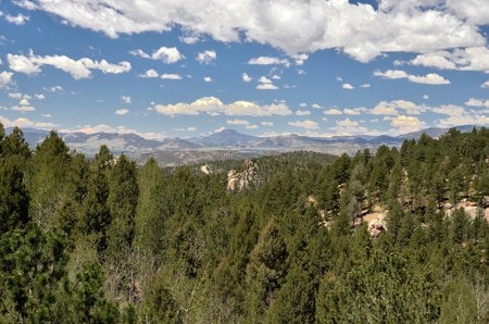 Central Colorado Mountain Home - image 3