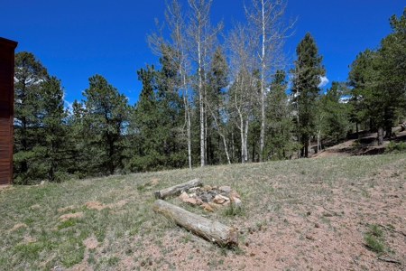Central Colorado Mountain Home - image 8