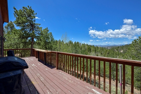 Central Colorado Mountain Home - image 12