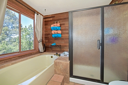Central Colorado Mountain Home - image 19