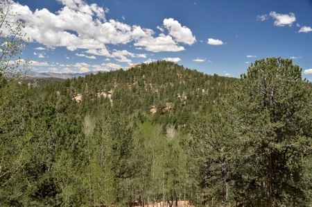 Central Colorado Mountain Home - image 2