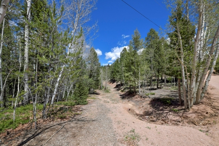 Central Colorado Mountain Home - image 39